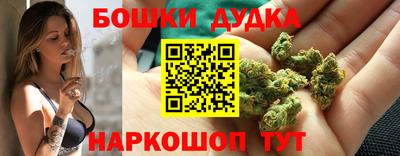 mdpv Гатчина