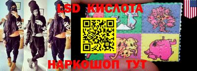 mdpv Гатчина