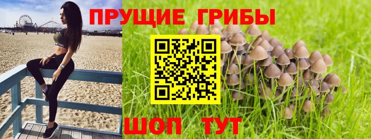 Псилоцибиновые грибы ЛСД Камышлов