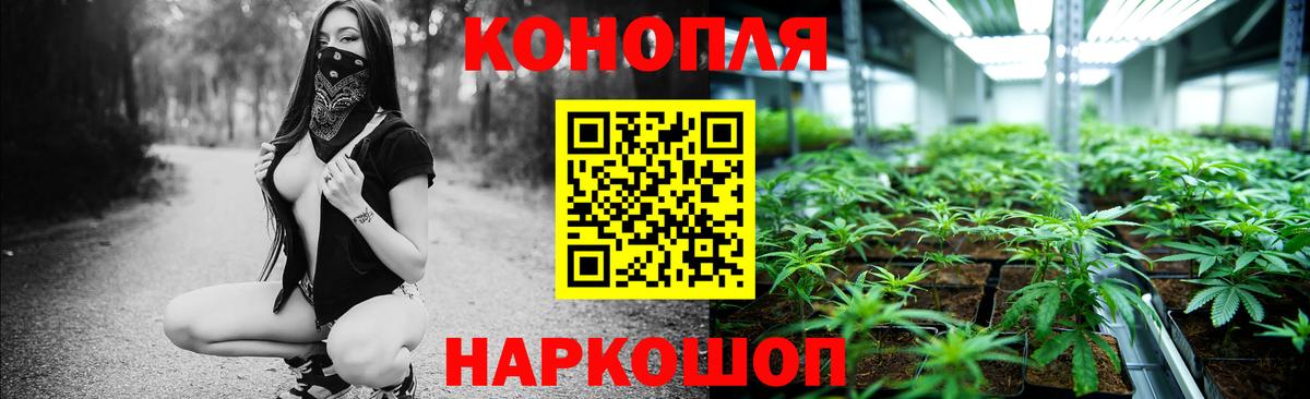 Каннабис индика Камышлов